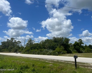 Beach Lot For Sale in New Smyrna Beach, Florida