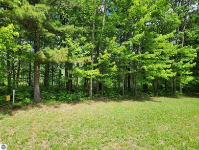 Beach Lot For Sale in Tawas City, Michigan