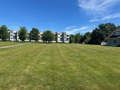 Beach Lot For Sale in New Buffalo, Michigan