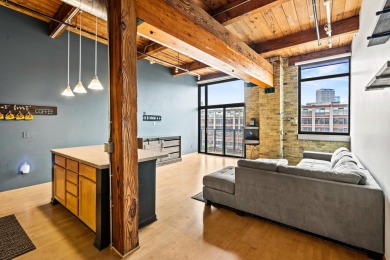 Beach Condo For Sale in Milwaukee, Wisconsin