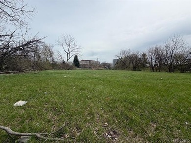 Beach Lot For Sale in Detroit, Michigan