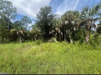 Beach Lot For Sale in Port Charlotte, Florida