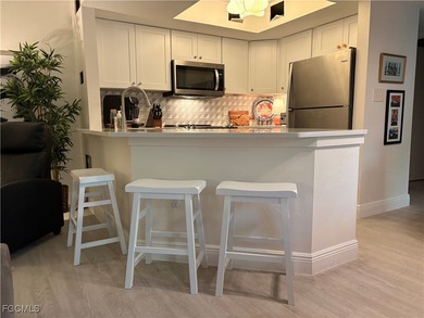 Beach Condo For Sale in Estero, Florida