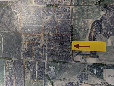 Beach Acreage For Sale in Manistee, Michigan