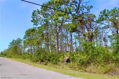 Beach Lot For Sale in Port Charlotte, Florida