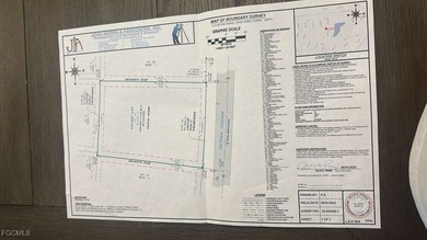 Beach Lot For Sale in Lehigh Acres, Florida