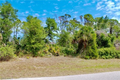 Beach Lot For Sale in Rotonda West, Florida