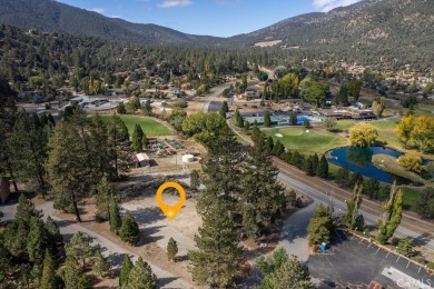 Beach Lot For Sale in Pine Mountain Club, California