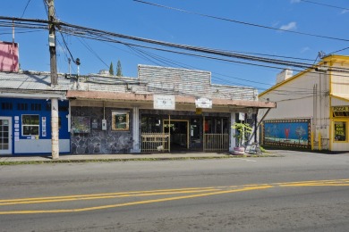 Beach Commercial For Sale in Pahoa, Hawaii