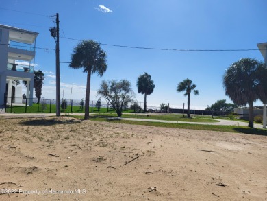 Beach Lot For Sale in Weeki Wachee, Florida