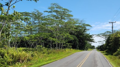Beach Lot For Sale in Keaau, Hawaii