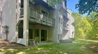 Beach Condo For Sale in Williamsburg, Michigan