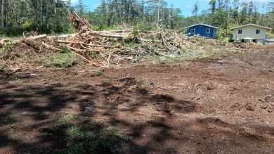 Beach Lot For Sale in Pahoa, Hawaii