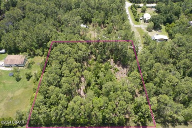 Beach Lot For Sale in Bunnell, Florida