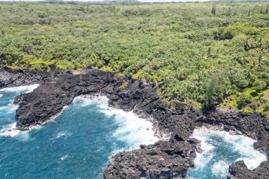 Beach Acreage For Sale in Pahoa, Hawaii