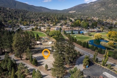 Beach Commercial For Sale in Pine Mountain Club, California