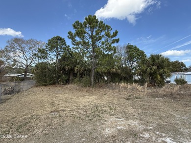 Beach Lot For Sale in New Smyrna Beach, Florida
