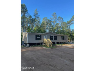 Beach Home For Sale in Bunnell, Florida