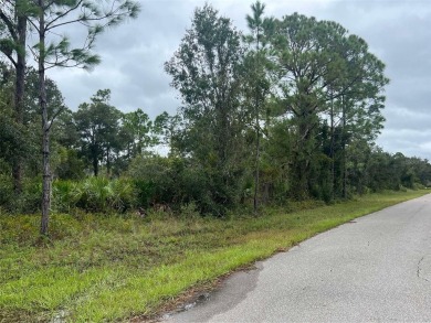 Beach Lot For Sale in Port Charlotte, Florida