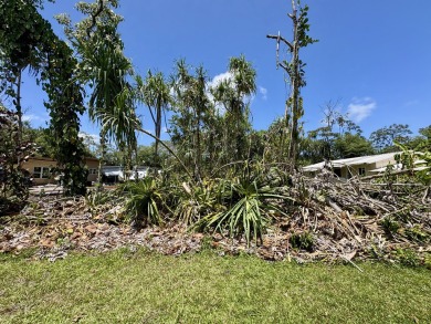 Beach Lot For Sale in Pahoa, Hawaii