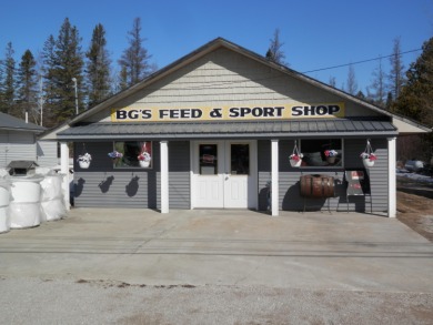 Beach Commercial For Sale in Gulliver, Michigan