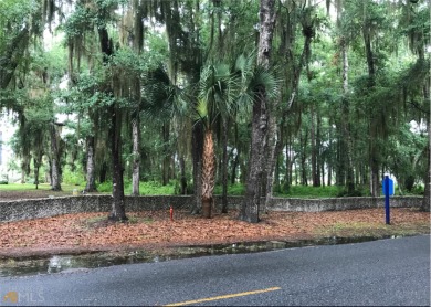 Beach Lot Off Market in Darien, Georgia