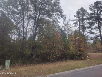 Beach Lot For Sale in Leland, North Carolina