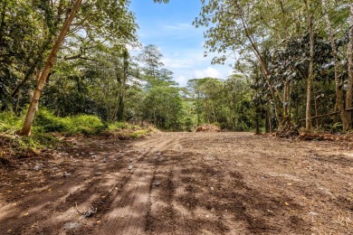Beach Acreage For Sale in Pahoa, Hawaii