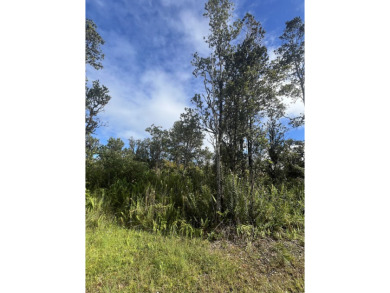 Beach Lot For Sale in Mountain View, Hawaii