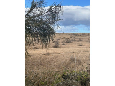 Beach Acreage For Sale in Naalehu, Hawaii