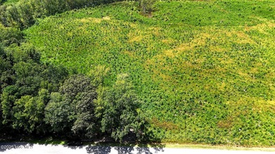 Beach Lot For Sale in New Hope, North Carolina