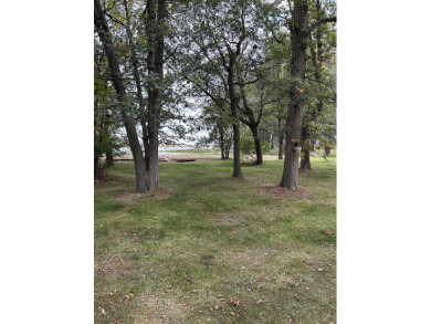 Beach Lot For Sale in Pinconning, Michigan