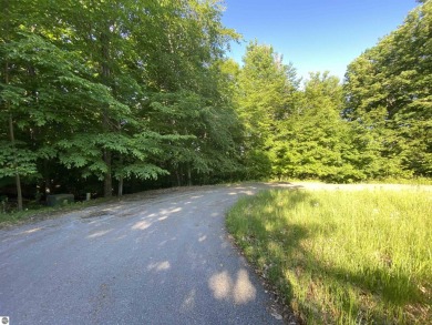 Beach Lot For Sale in Cedar, Michigan