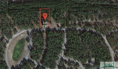 Beach Lot For Sale in Townsend, Georgia