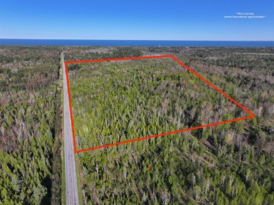 Beach Acreage For Sale in Harrisville, Michigan