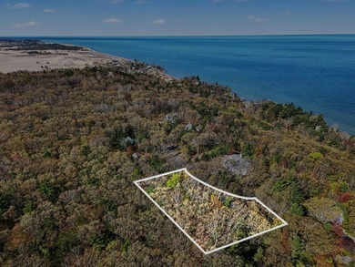 Beach Acreage For Sale in Mears, Michigan