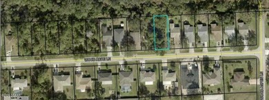 Beach Lot For Sale in Palm Coast, Florida