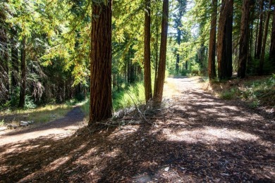Beach Acreage For Sale in Boulder Creek, California