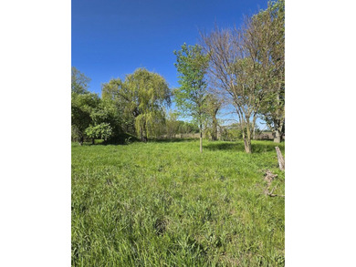 Beach Lot For Sale in Three Oaks, Michigan