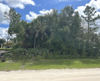 Beach Lot For Sale in Vero Beach, Florida