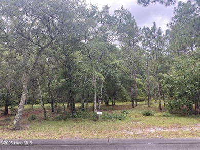 Beach Lot For Sale in Supply, North Carolina