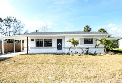 Beach Home For Sale in ST Pete Beach, Florida