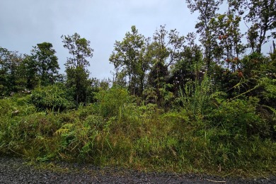 Beach Acreage For Sale in Volcano, Hawaii