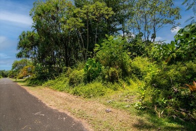 Beach Lot For Sale in Pahoa, Hawaii