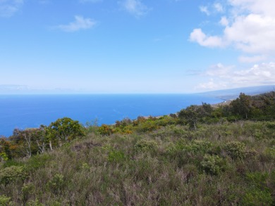 Beach Acreage For Sale in Captain Cook, Hawaii