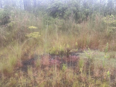 Beach Acreage For Sale in Volcano, Hawaii