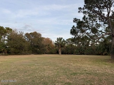 Beach Lot For Sale in Ormond Beach, Florida