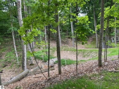 Beach Lot For Sale in Traverse City, Michigan