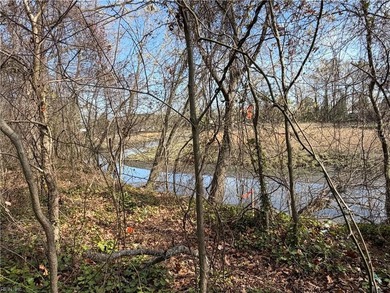 Beach Lot For Sale in Chesapeake, Virginia