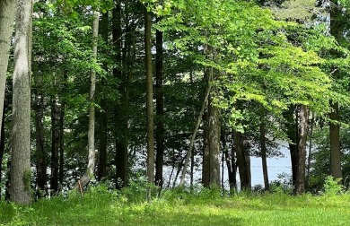 Beach Lot For Sale in Lancaster, Virginia